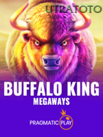 Buffalo King game cover
